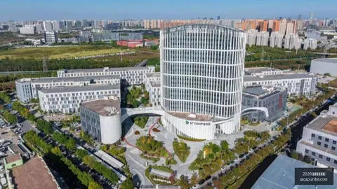 中晶智芯股权变动：先导基电抛售15亿股份，背后有何隐情